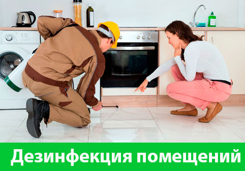 Дезинфекция офисов от коронавируса в городе Люберцы
